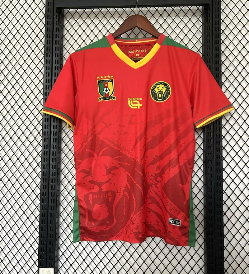 Maillot Cameroun Spécial 25/26