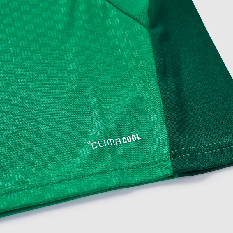 Maillot adidas Algérie 2026 Training