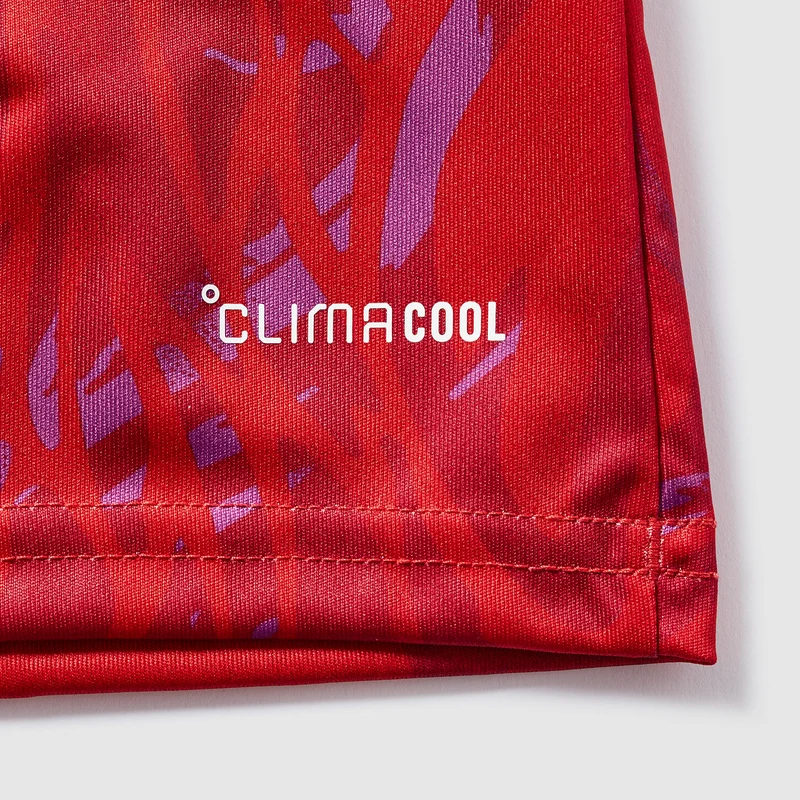 Maillot Domicile adidas Costa Rica 2026