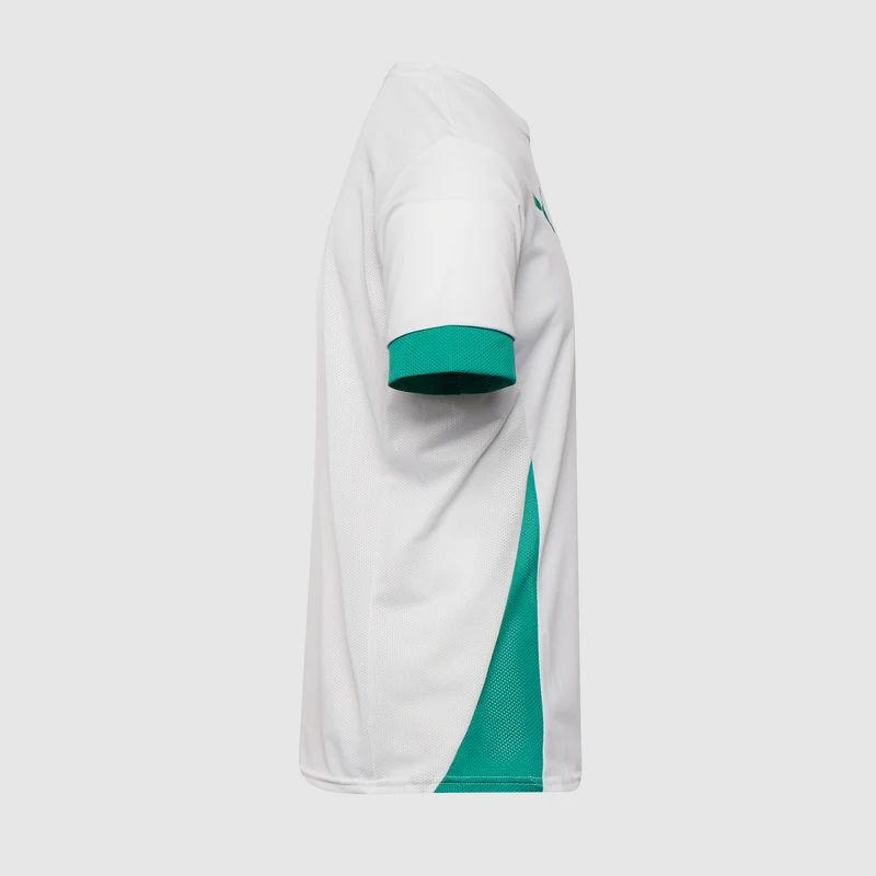 Maillot de Match Puma teamGOAL 24 MC