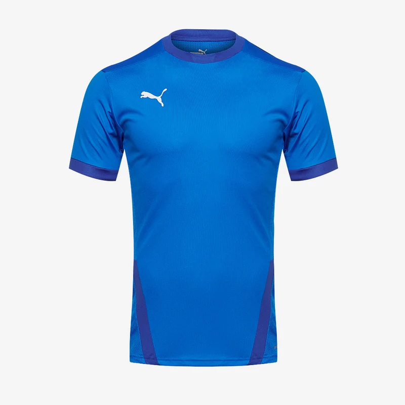 Maillot PUMA Junior Goal 23 SS