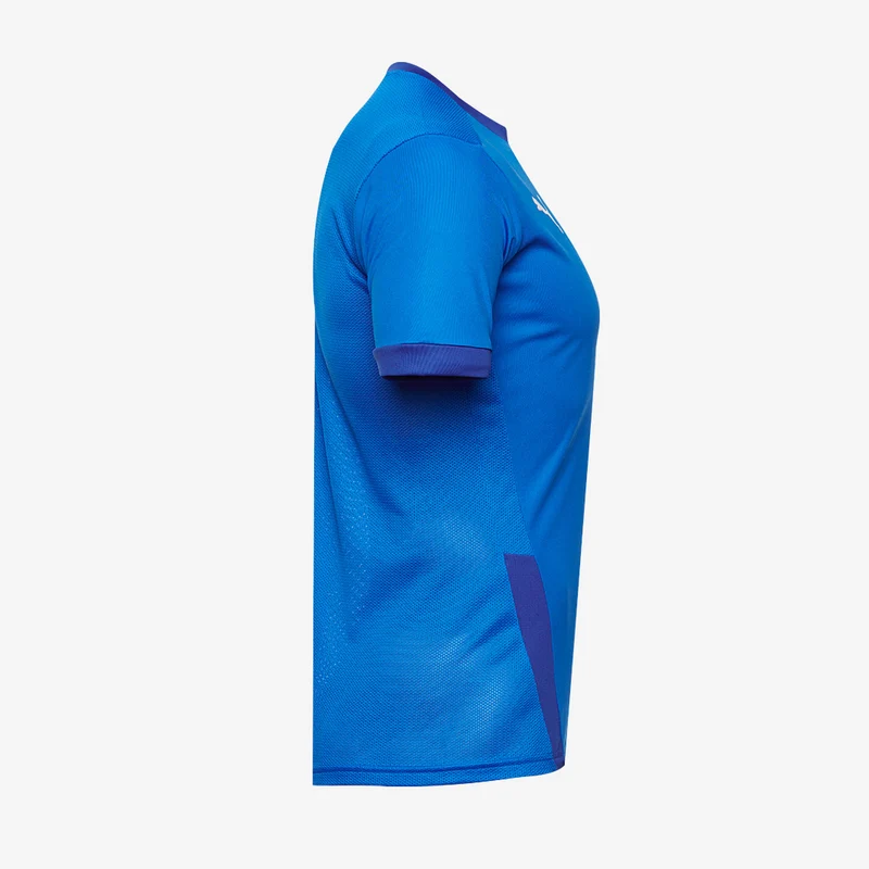 Maillot PUMA Junior Goal 23 SS