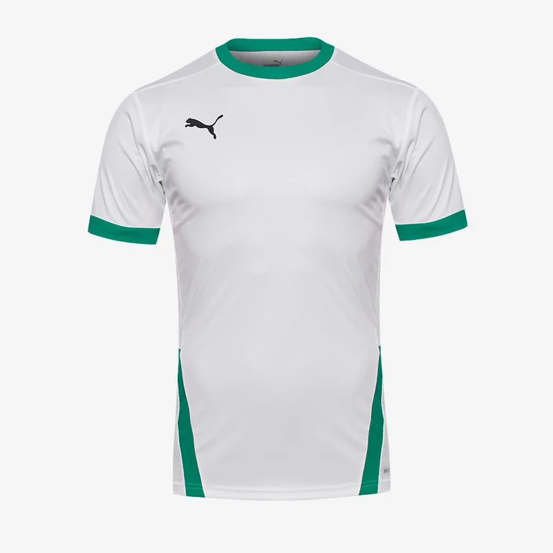 Maillot PUMA Junior Goal 23 SS