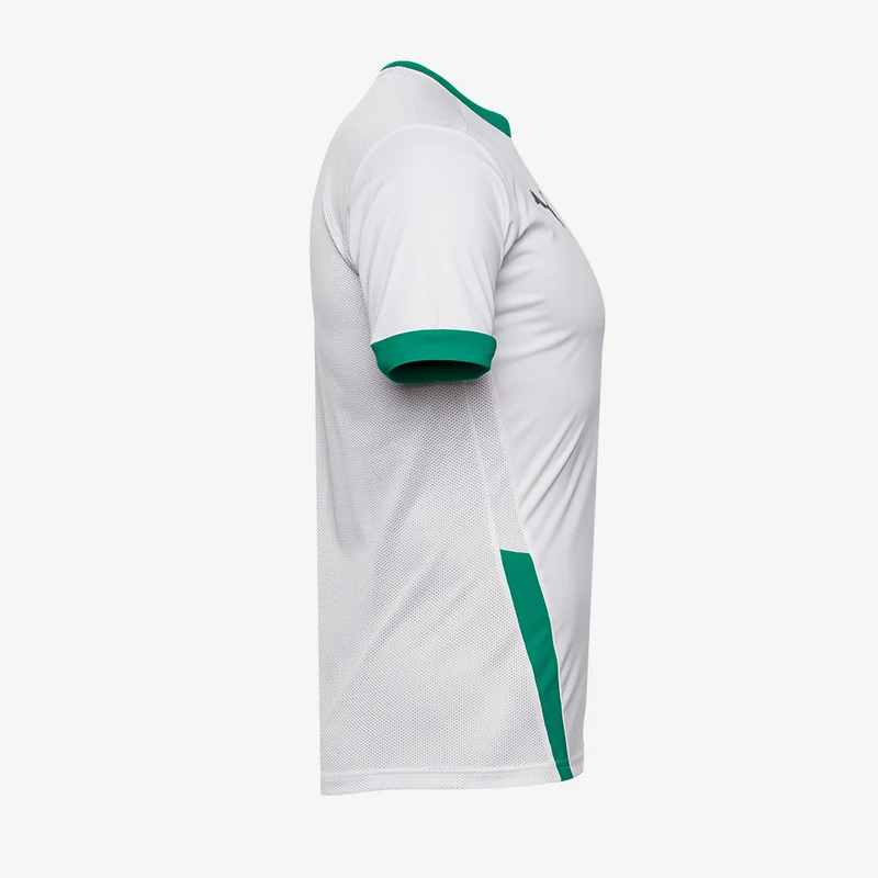Maillot PUMA Junior Goal 23 SS