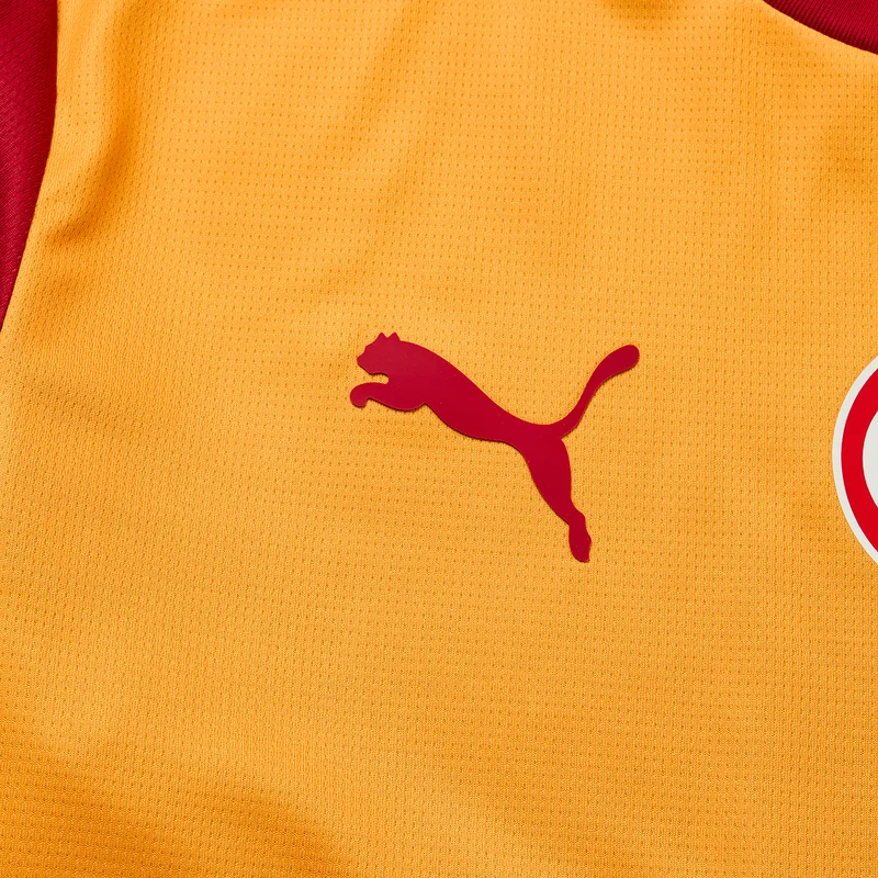 Puma Galatasaray 26/27 Home Shirt