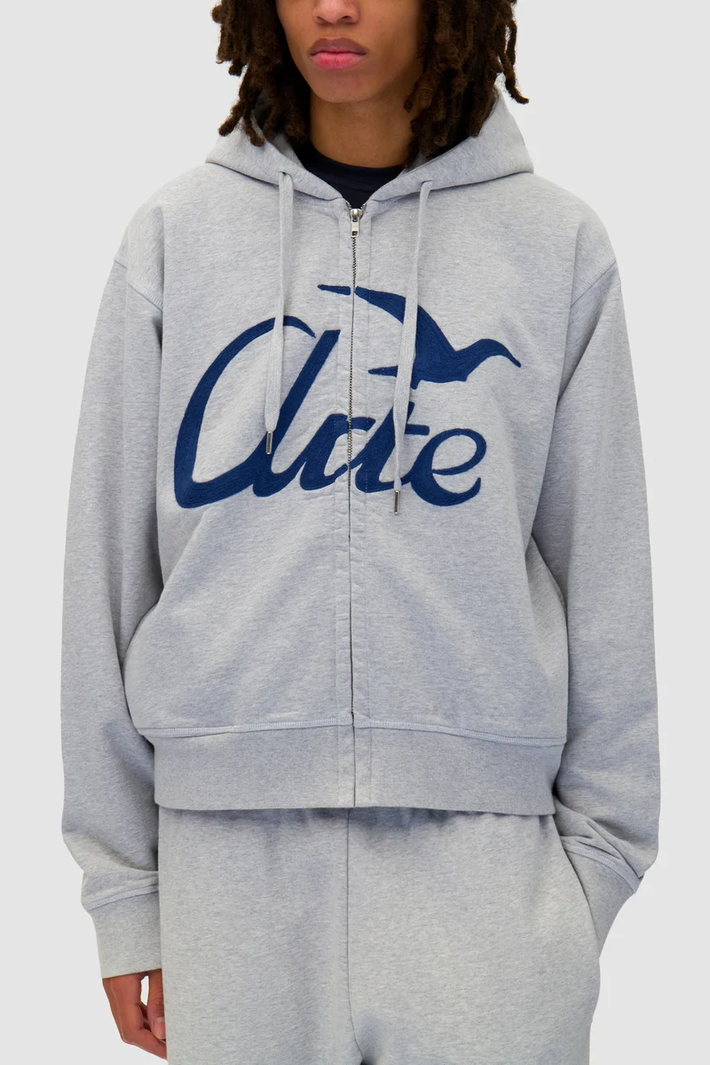 Sweat à capuche avec fermeture éclair - Gris