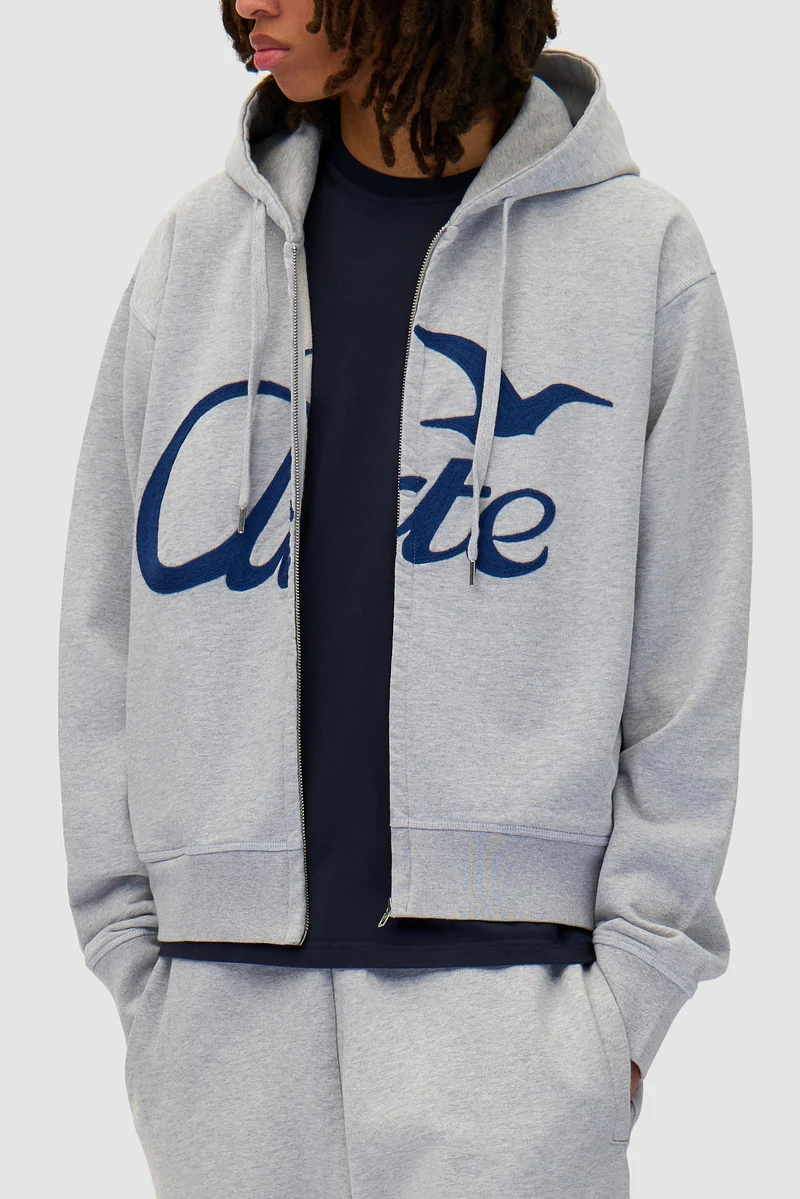 Sweat à capuche avec fermeture éclair - Gris