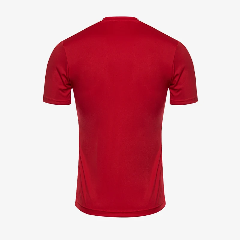 Joma Academy III SS Shirt