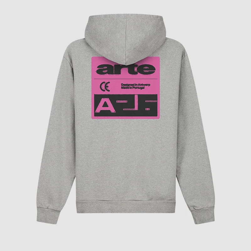 Sweat à capuche « Pink Serial » - Gris