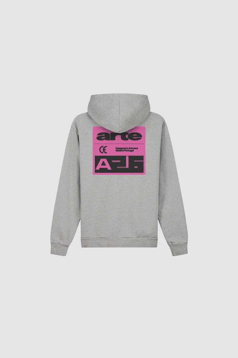 Sweat à capuche « Pink Serial » - Gris
