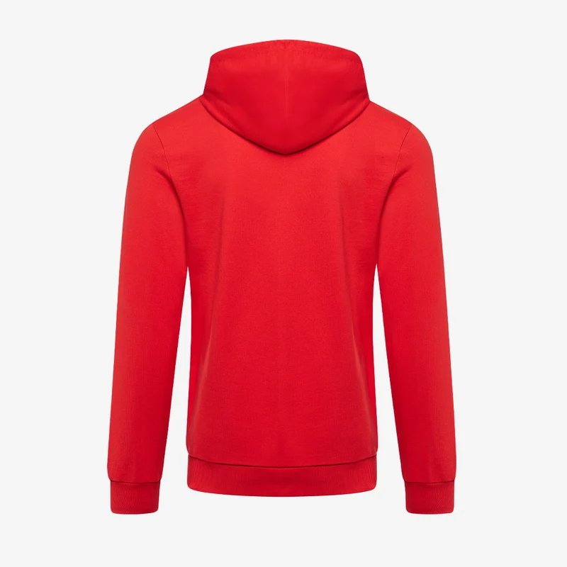 Sweat à Capuche Puma teamGOAL 25 Casuals