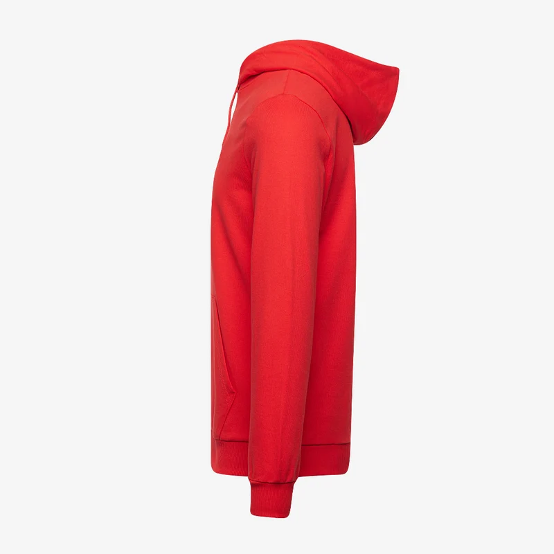 Sweat à Capuche Puma teamGOAL 25 Casuals