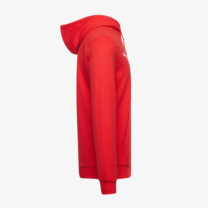 Sweat à Capuche Puma teamGOAL 25 Casuals
