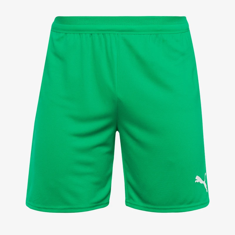 Short Puma teamCUP 25