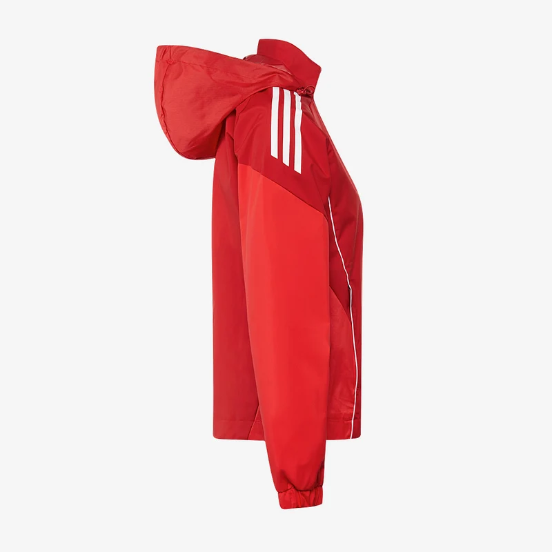 Veste adidas Tiro 25 Competition All Weather pour Femme
