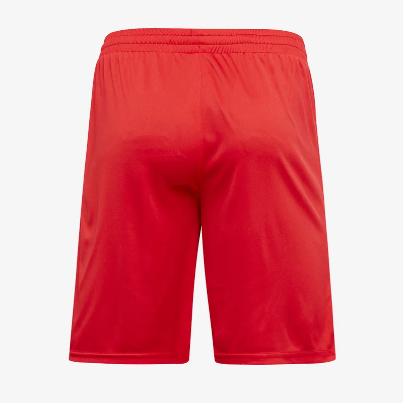 Joma Nobel Shorts