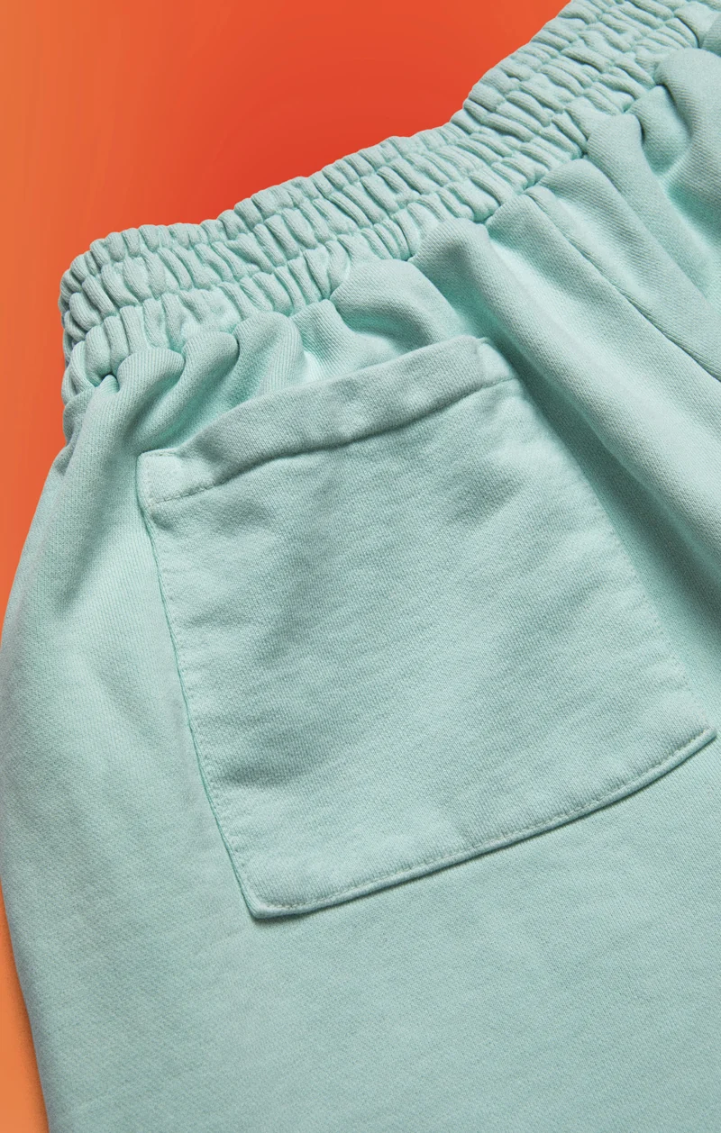 Unisex Shorts PDF X Champion