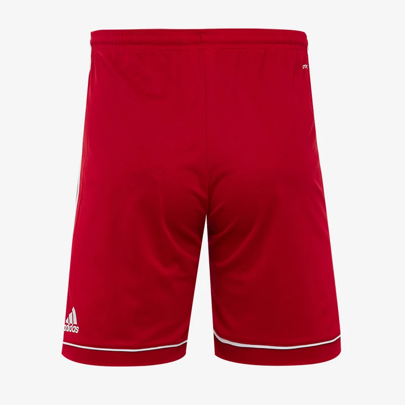 Short adidas Enfant Squadra 17