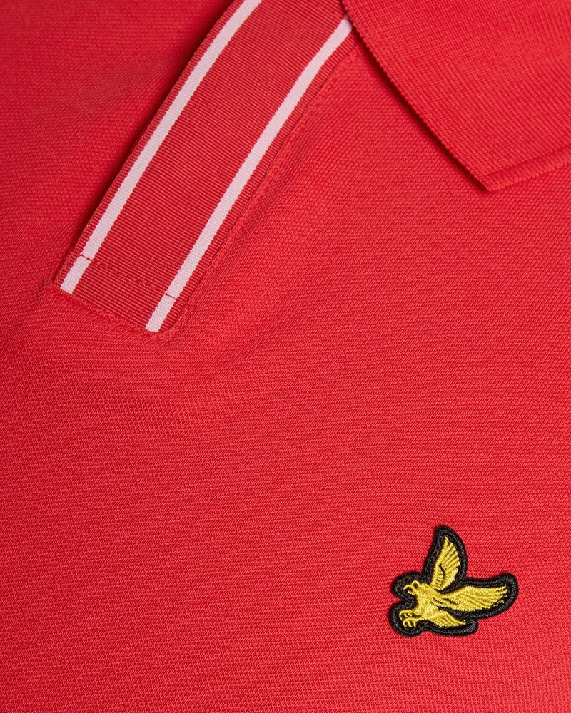 Placket Tipped Polo Shirt