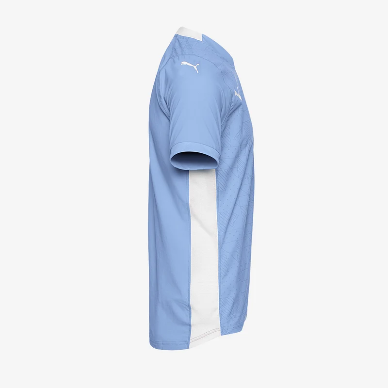 Maillot Puma Team Cup Manches Courtes
