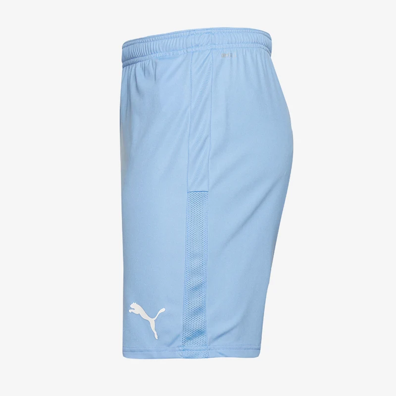 Short Puma Goal 23