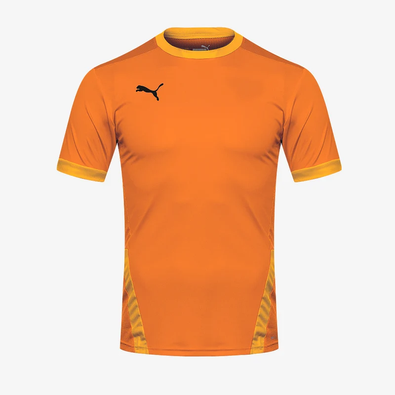 Maillot à manches courtes Puma Goal 23