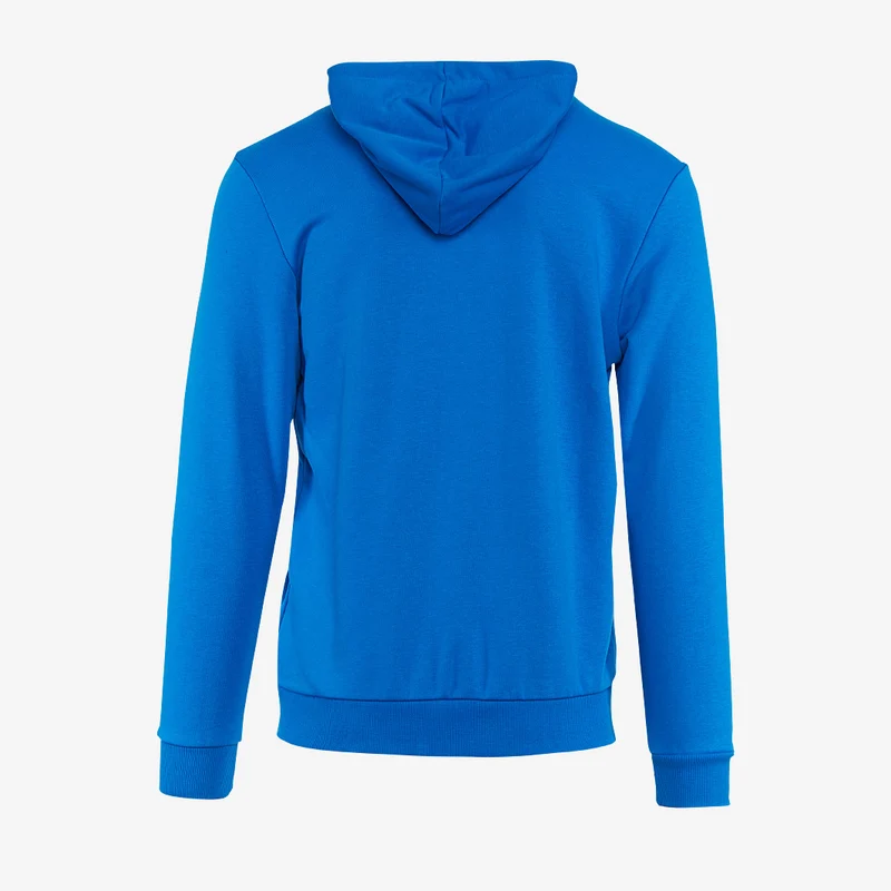 Veste à capuche Puma Enfant Goal 23 Casuals