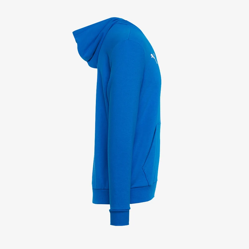 Veste à capuche Puma Enfant Goal 23 Casuals