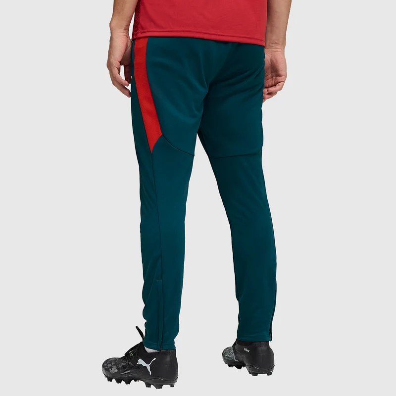 Pantalon Puma Portugal 2026 Training