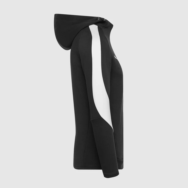 Veste à Capuche Puma teamEVOSTRIPE 25 Slim