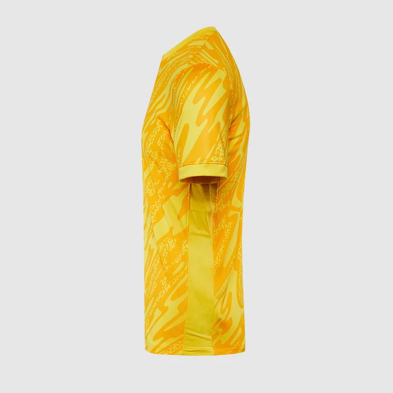 Maillot de Gardien Nike Gardien V MC