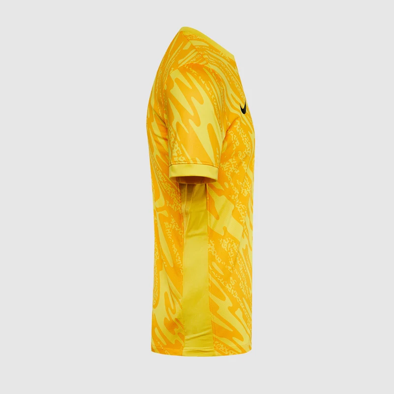 Maillot de Gardien Nike Gardien V MC