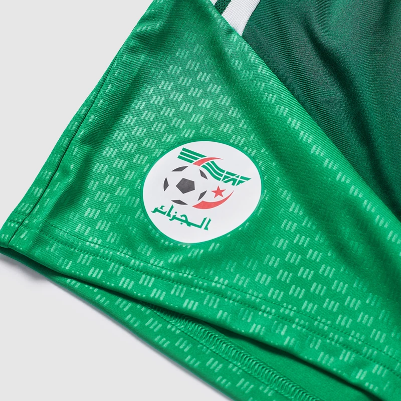 Short adidas Algérie 2026 Training