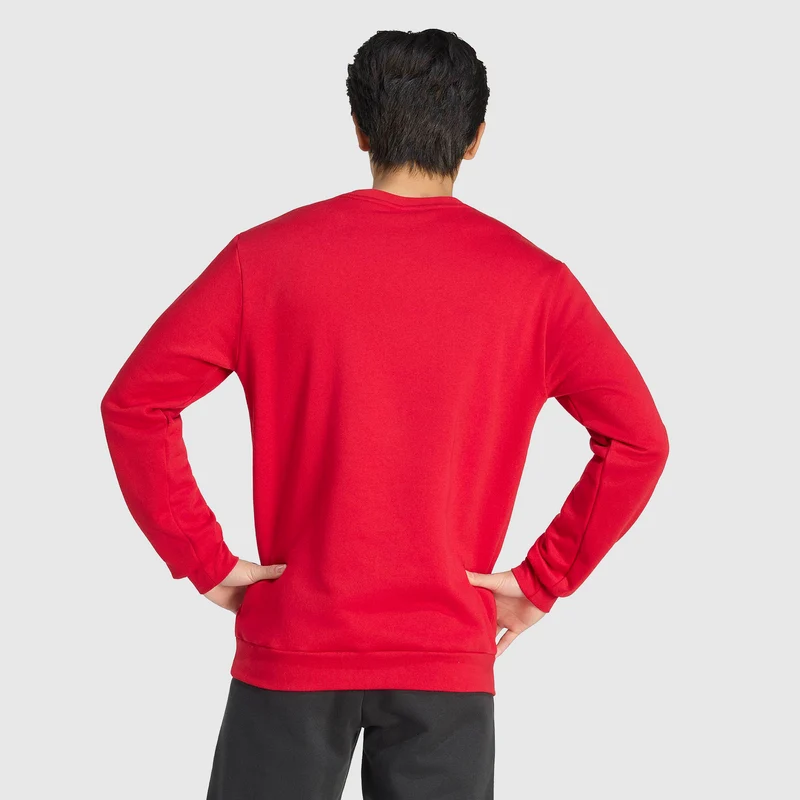 Sweat adidas Entrada 26 en coton