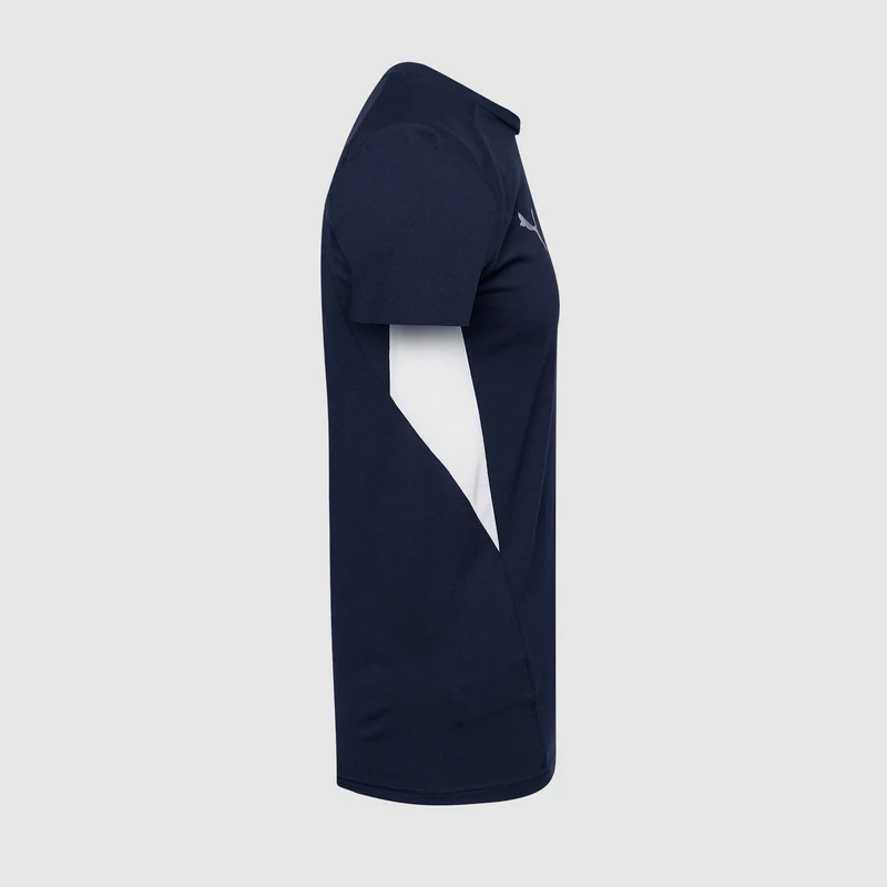 T-Shirt Puma Junior teamEVOSTRIPE 25 Slim MC
