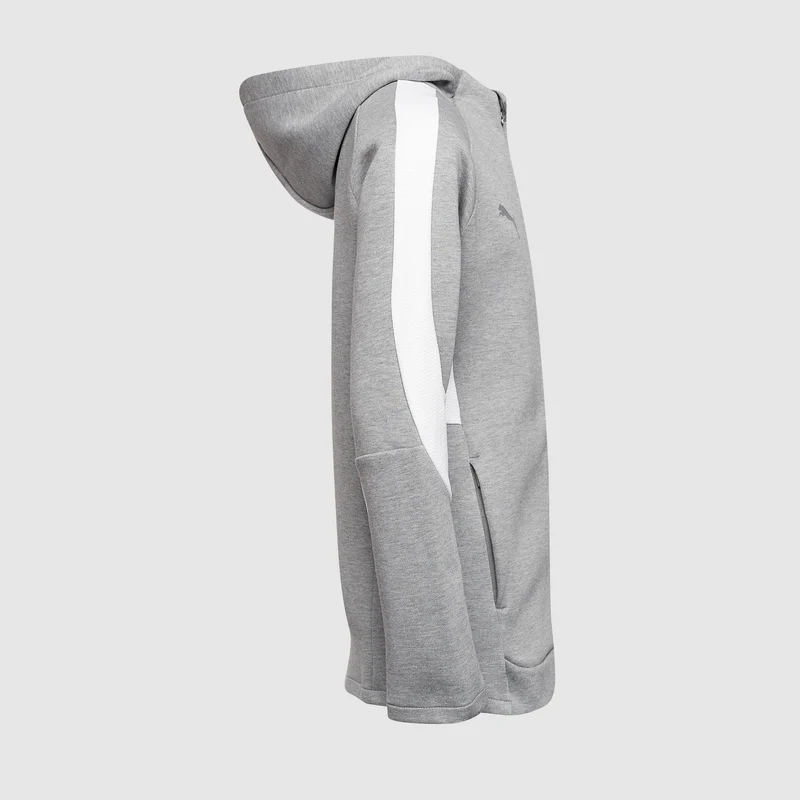 Puma Junior teamEVOSTRIPE 25 Slim Hooded Jacket
