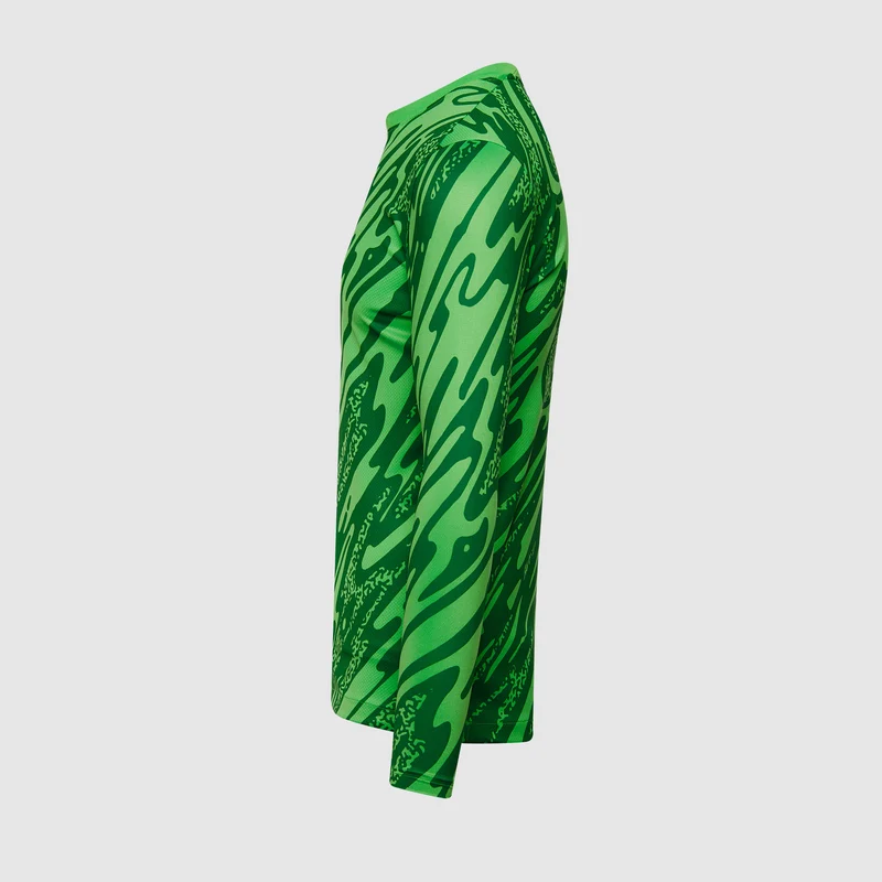 Nike Gardien V LS GK Shirt