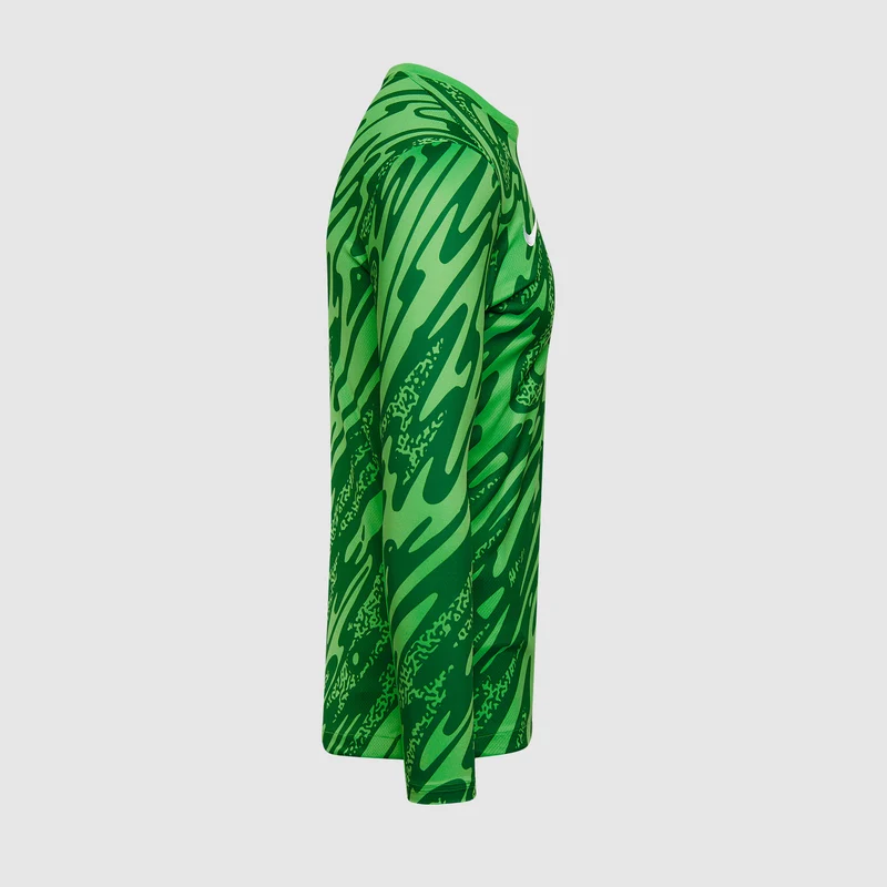 Nike Gardien V LS GK Shirt