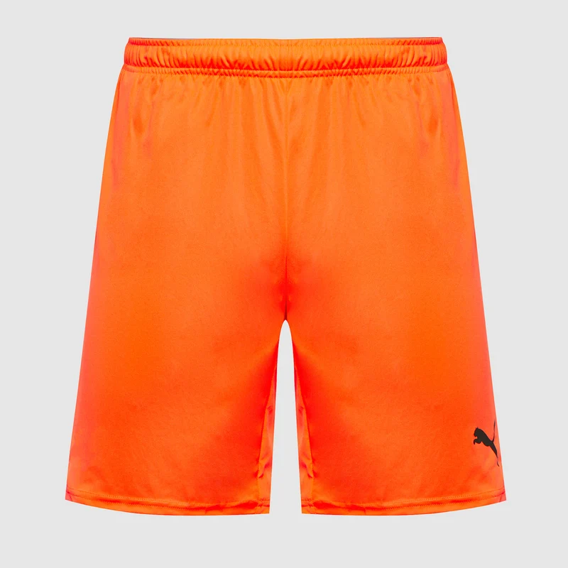 Short Puma teamGOAL 24