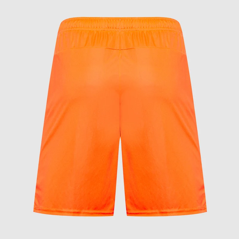 Short Puma teamGOAL 24
