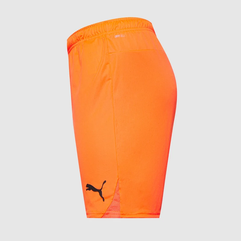 Short Puma teamGOAL 24