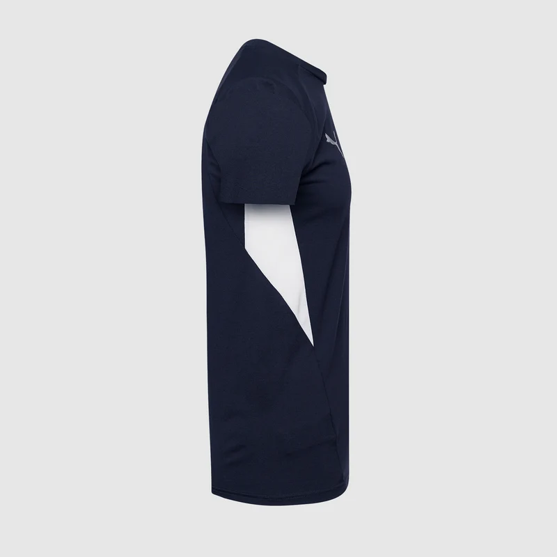 T-Shirt Puma teamEVOSTRIPE 25 Slim MC