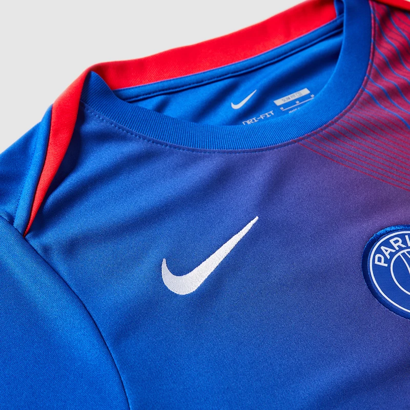 Maillot Third Nike Paris Saint-Germain 25/26 Dri-FIT Academy Pro