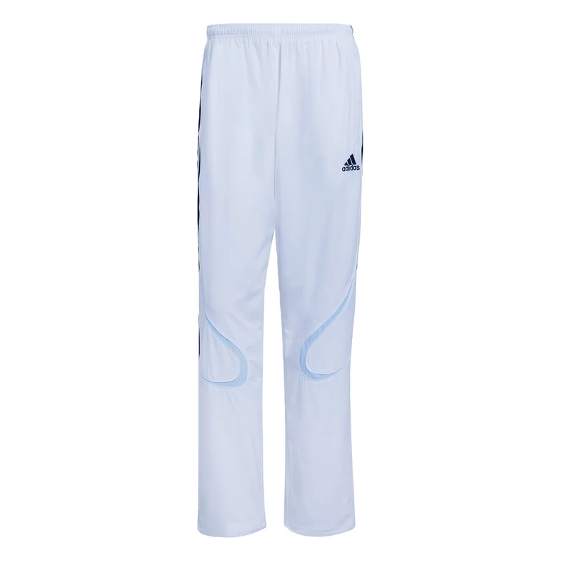 adidas Originals Teamgeist Adicolor Track Pants