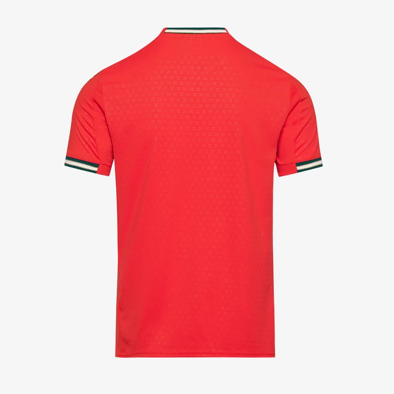 Maillot Domicile Puma Portugal 2025
