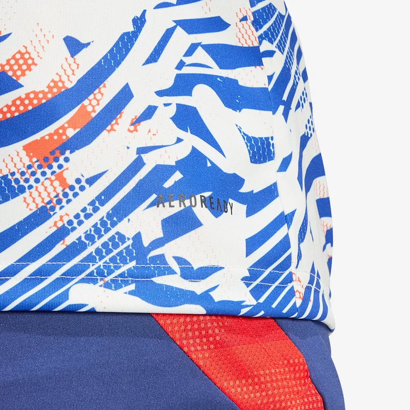 Maillot adidas Lyon 24/25 Pre-Match