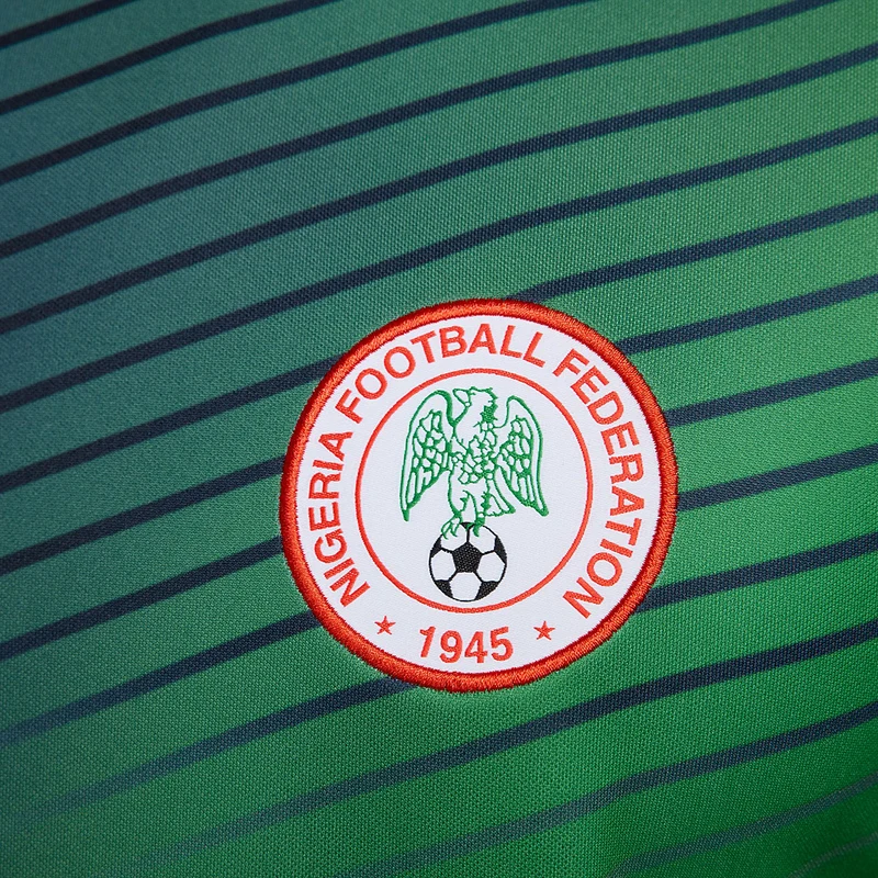 Haut Nike Nigéria 2024 Dri-FIT Academy Pro Pré-Match SS