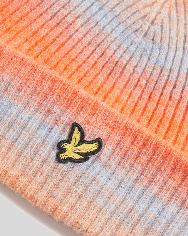 Ombre Beanie