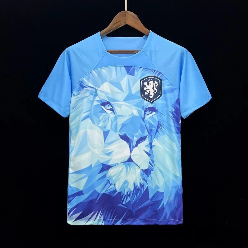 Angleterre maillot Édition spéciale 2023 2024