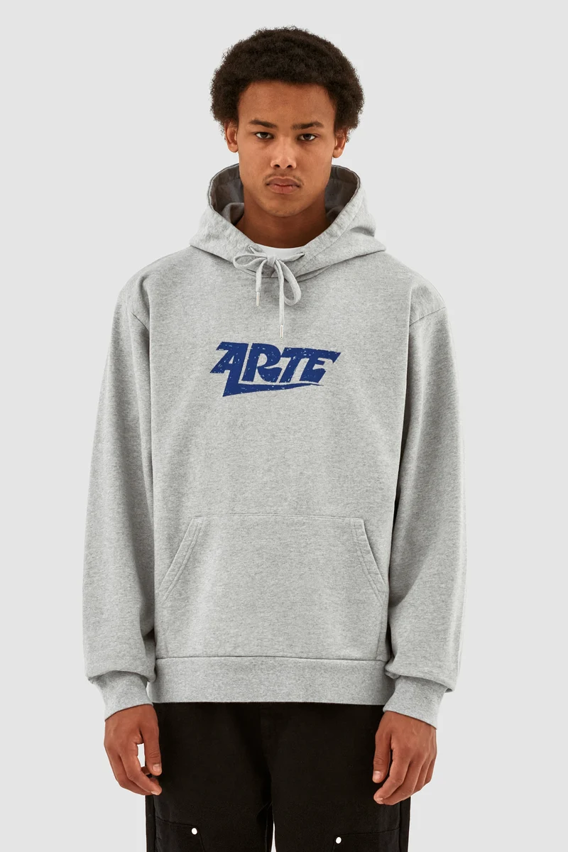 Sweat à capuche avec logo Harris - Gris